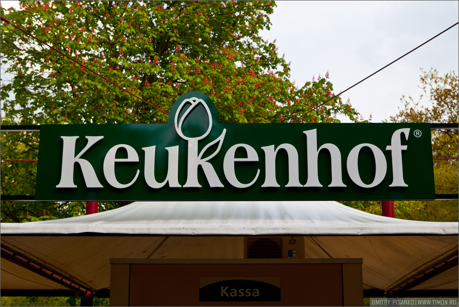 Кёкенхоф, Keukenhof, часть четвертая - Евротрип 2009